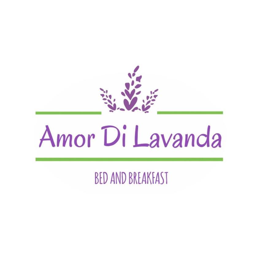Amor di Lavanda Cingoli Buitenkant foto