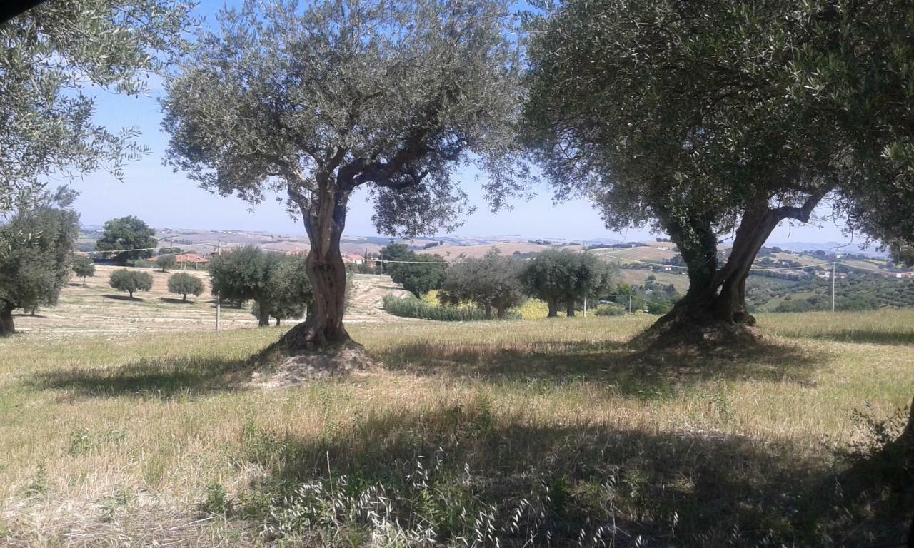 Amor di Lavanda Cingoli Buitenkant foto
