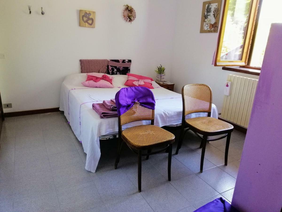 Amor di Lavanda Cingoli Buitenkant foto