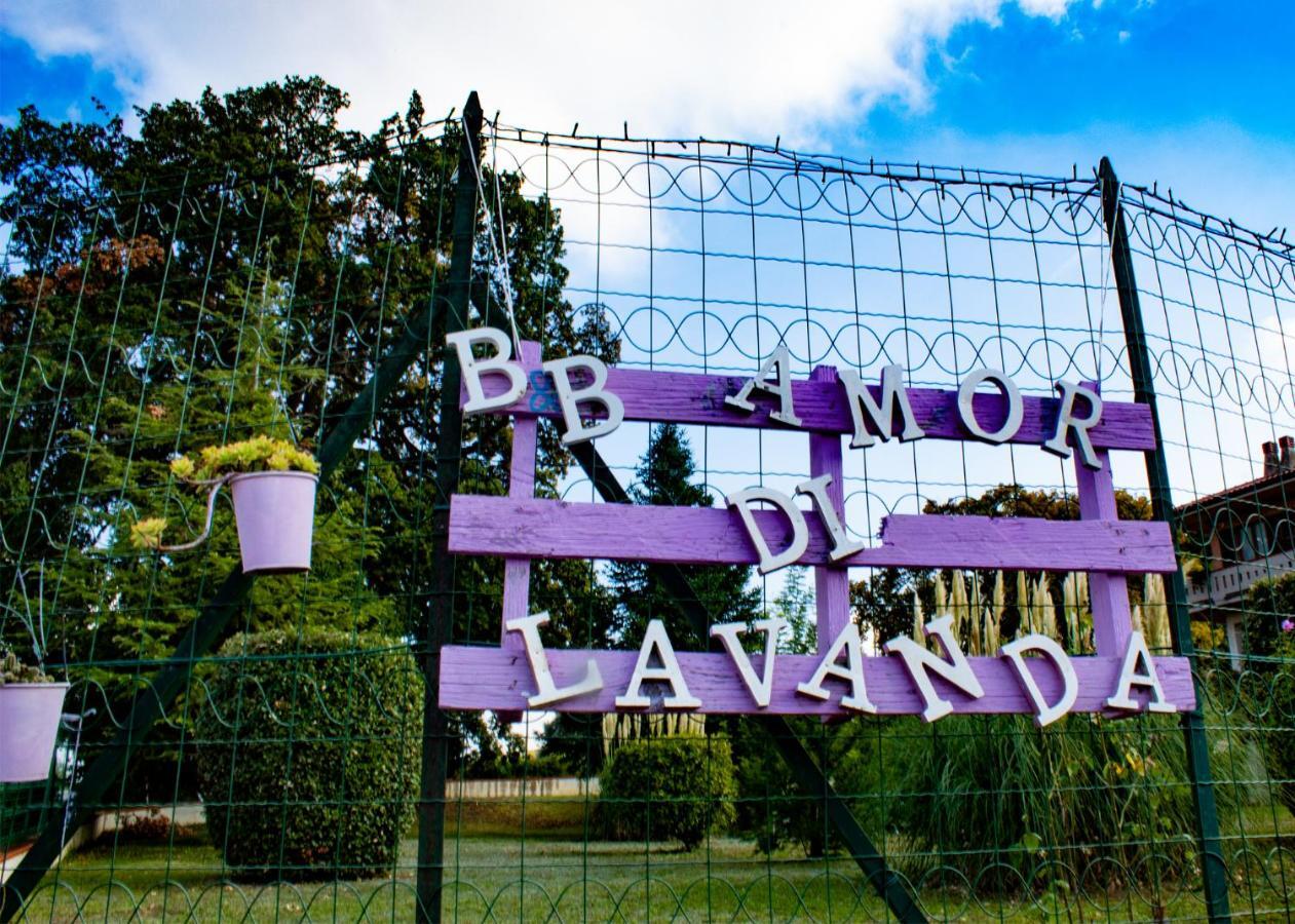 Amor di Lavanda Cingoli Buitenkant foto